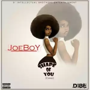 Joeboy - Shape of You (Cover)